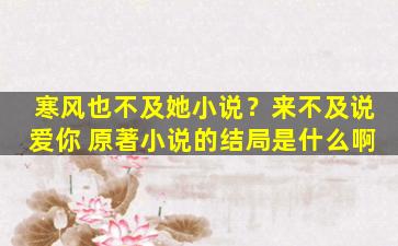 寒风也不及她小说？来不及说爱你 原著小说的结局是什么啊